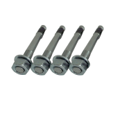 Type 2 mounting screws